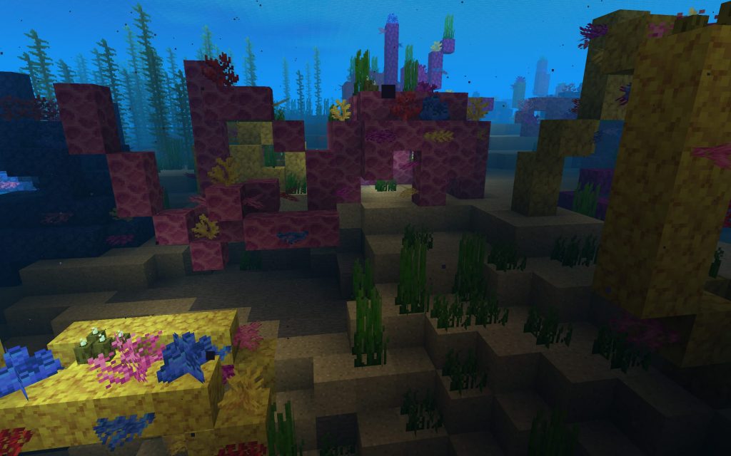 Coral on the Ocean Floor