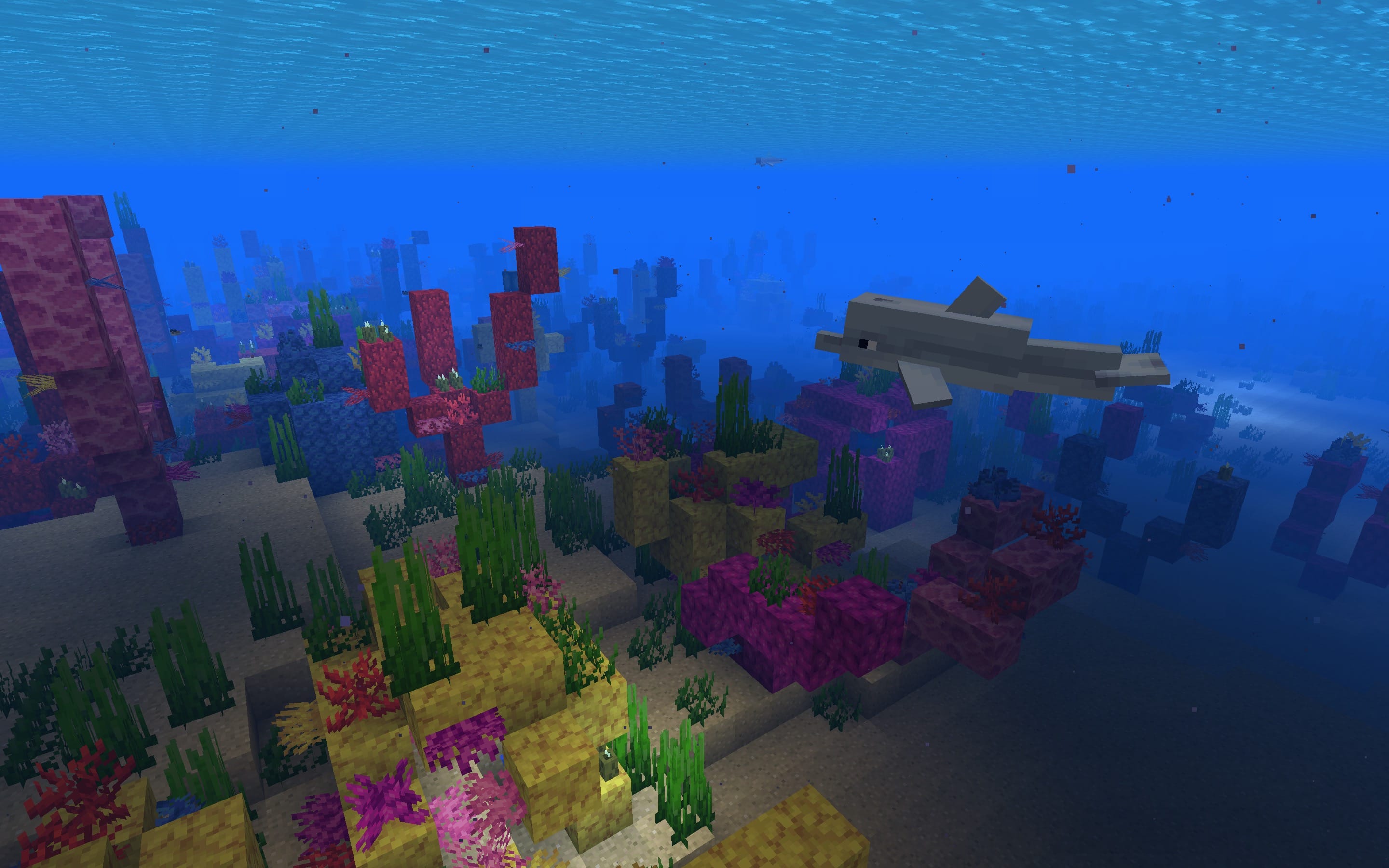 Minecraft Coral Reef Seed