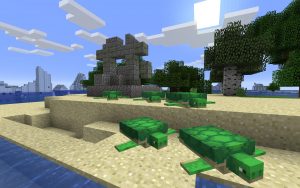 Minecraft Ocean Ruin Seed