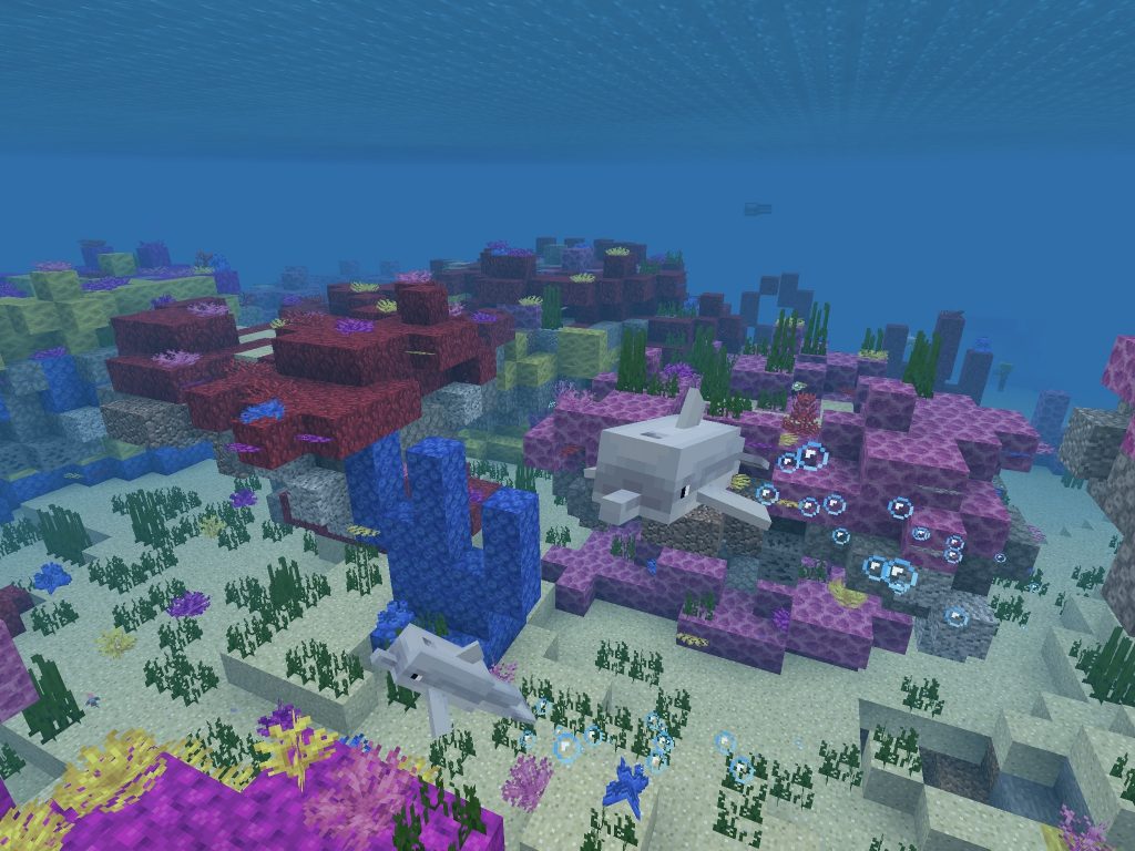 Dolphin Coral Reef