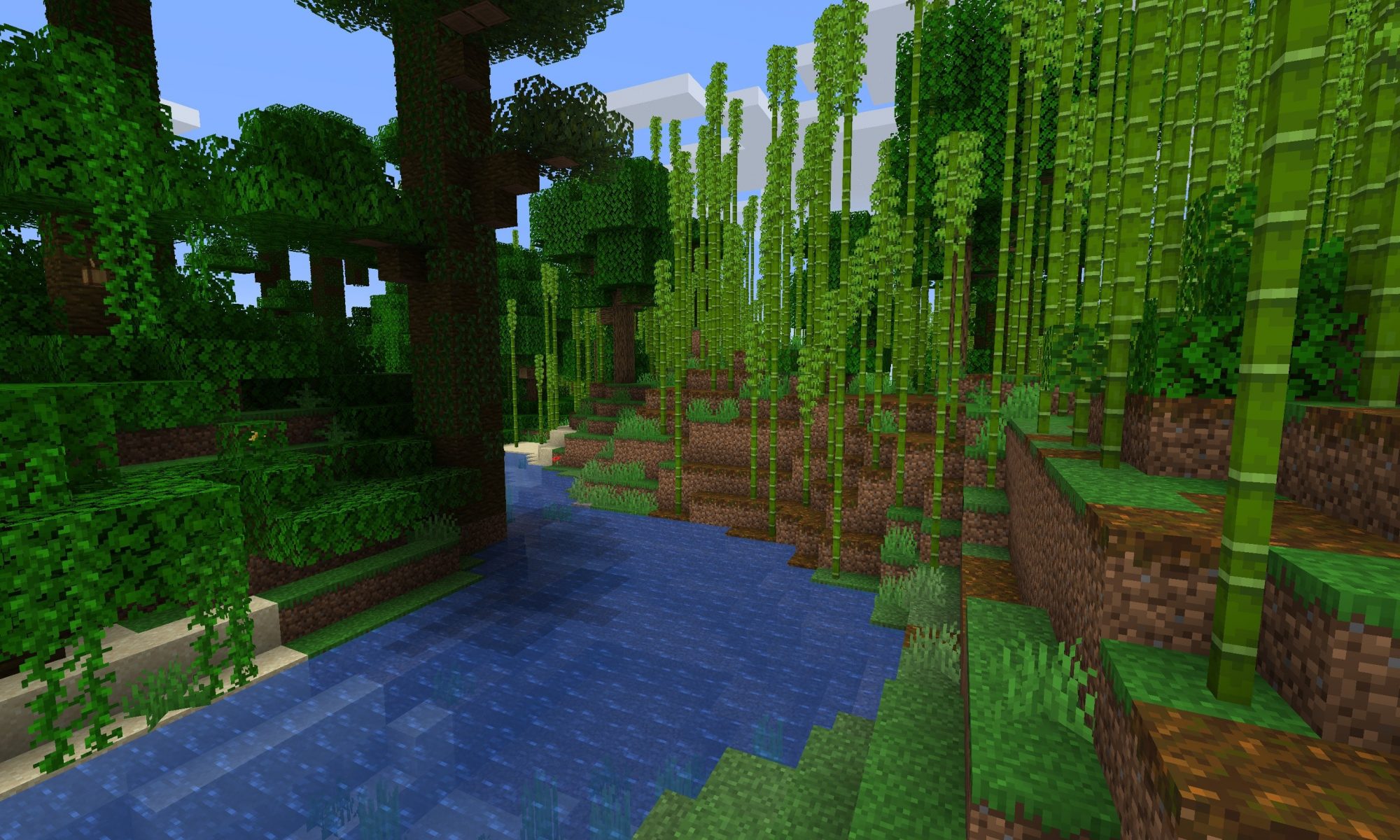 1 14 Dense Bamboo Forest At Spawn Seeds Minecraft Java Edition Minecraft Forum Minecraft Forum