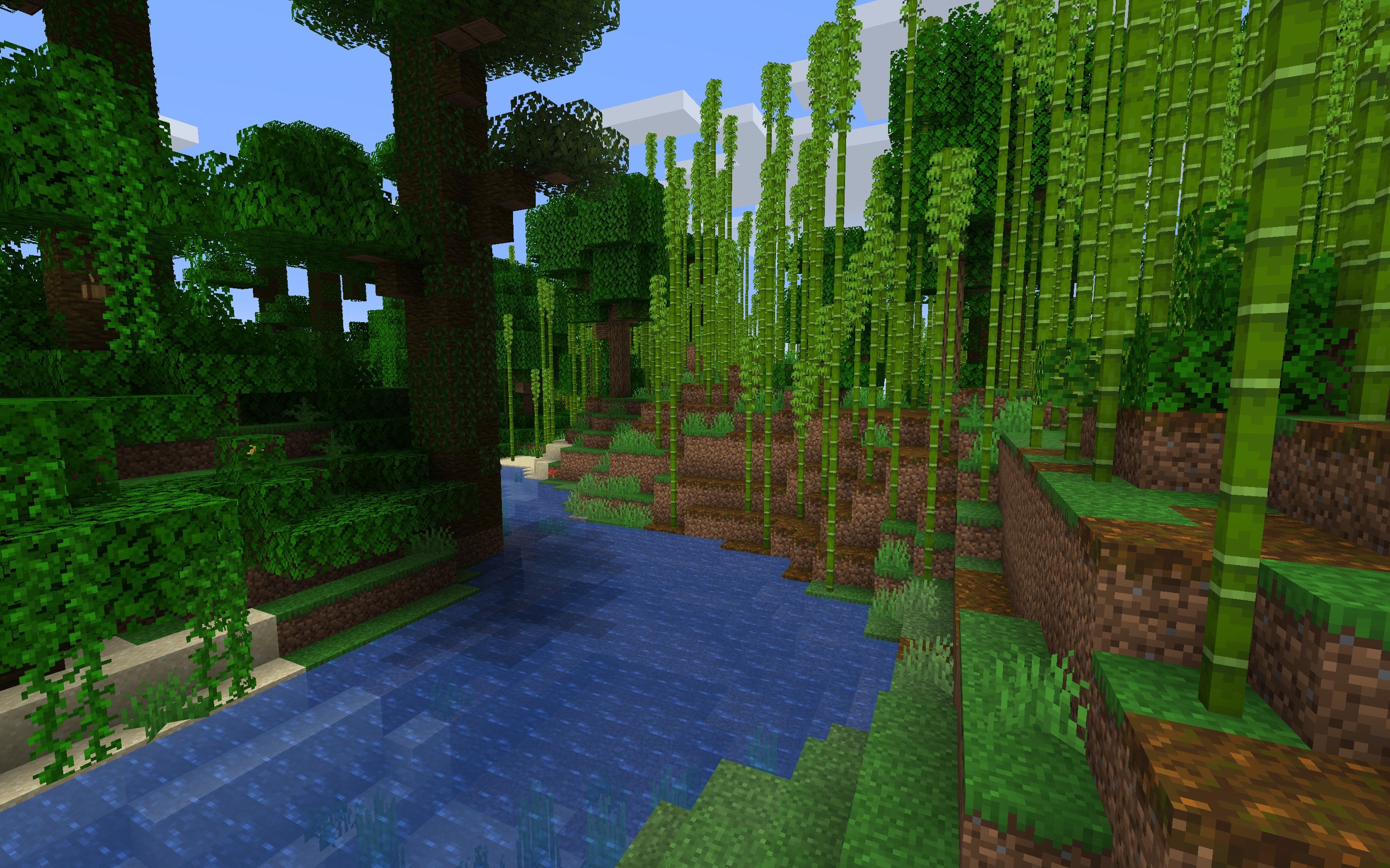 Minecraft Seed - Bamboo Forest Biome