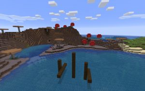Rare Minecraft Seed Biome at Spawn